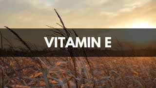 Biohemija: Vitamin E