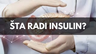 Fiziologija endokrinog pankreasa (1/2): Građa insulina, dejstvo na metabolizam