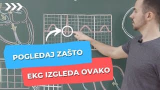 Osnove fiziološkog EKG-a (2. dio): Provodni sistem i nastajanje EKG talasa