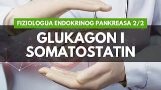 Fiziologija endokrinog pankreasa (2/2): Glukagon, somatostatin