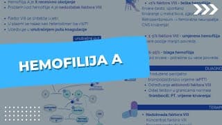 Hemofilija A: Patogeneza, klinička slika, dijagnostika i liječenje