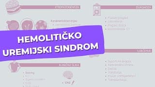 Hemolitičko uremijski sindrom: Patogeneza, klinička slika, dijagnostika i liječenje