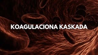 Koagulaciona kaskada