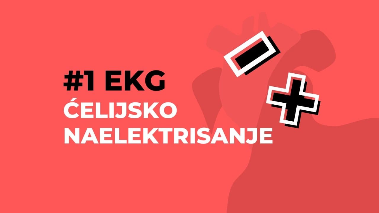 Ćelijsko naelektrisanje - temelj shvatanja EKG-a