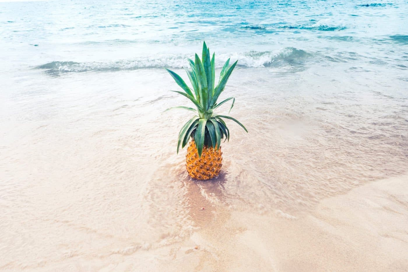 Ananas: ko koga tu zapravo jede?