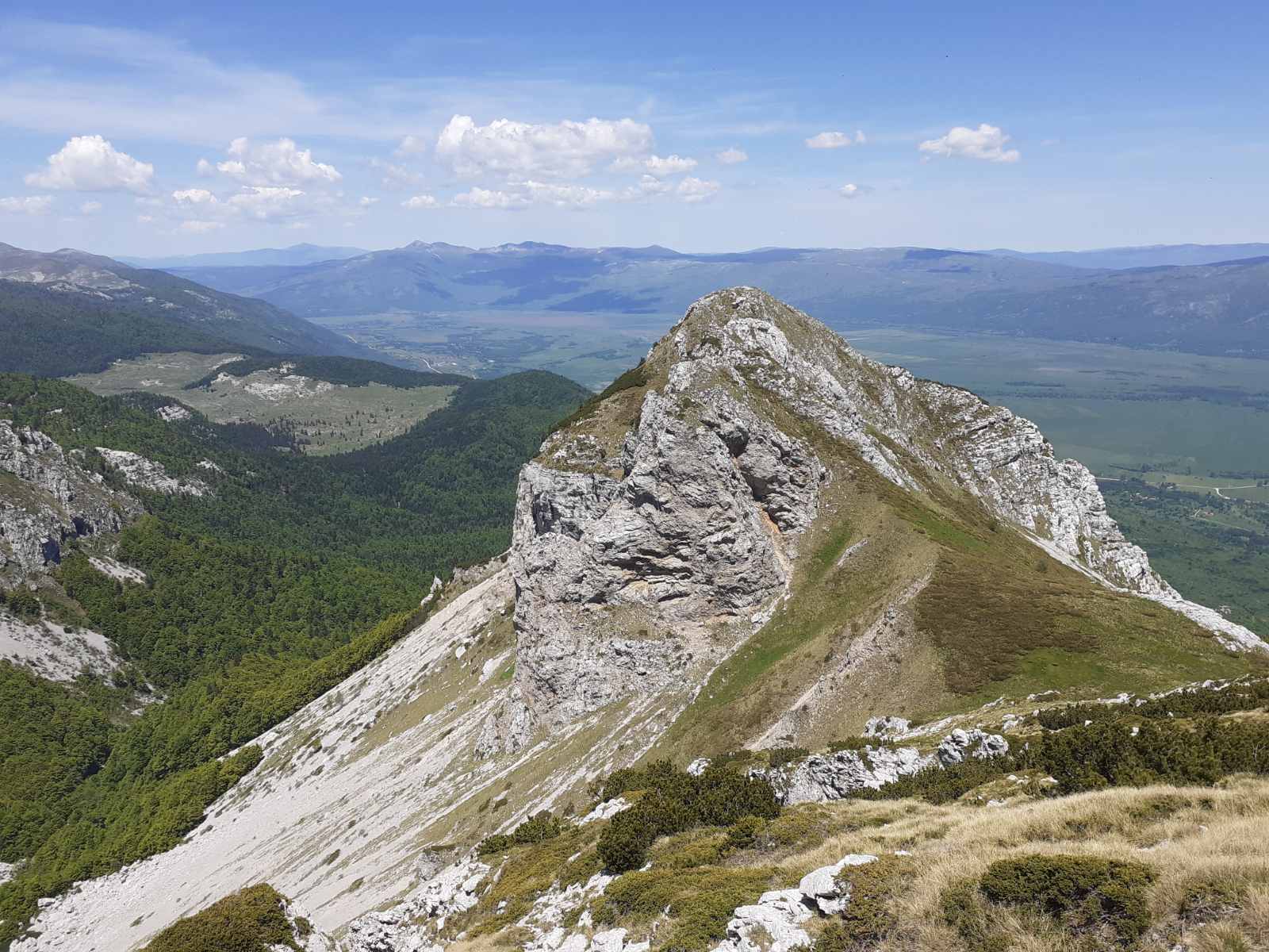 "Hajdemo u planine - jer tamo nema zime!": Benefiti planinarenja