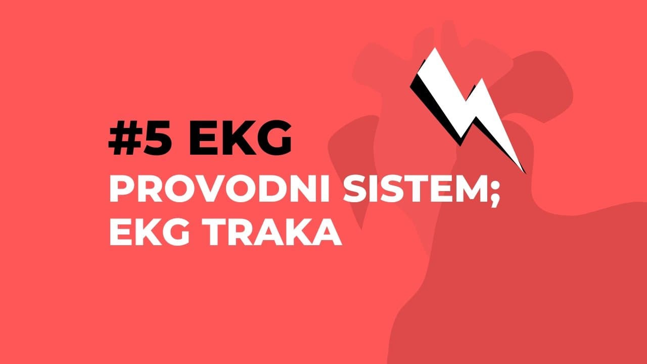 Provodni sistem i dijelovi EKG trake