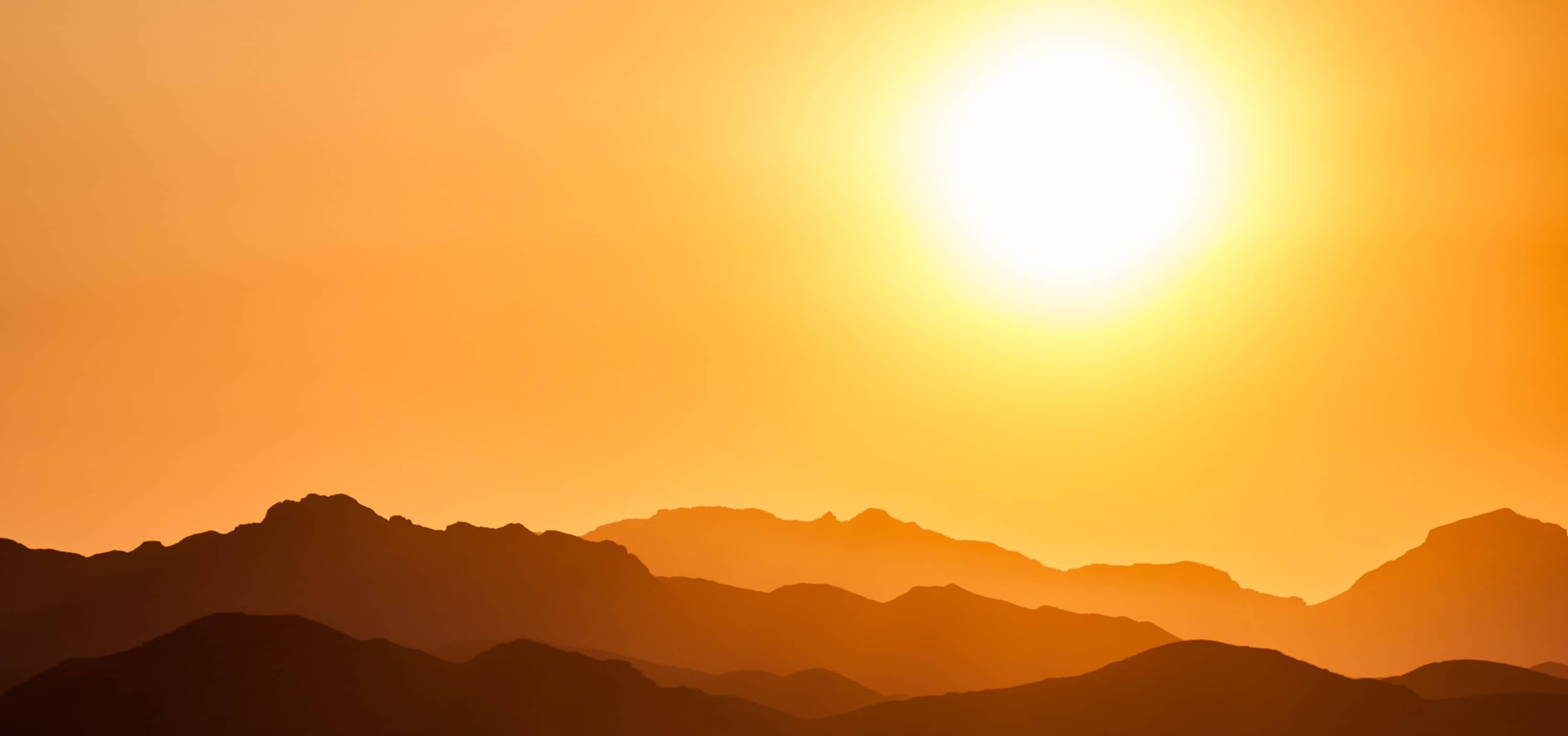 Vitamin D