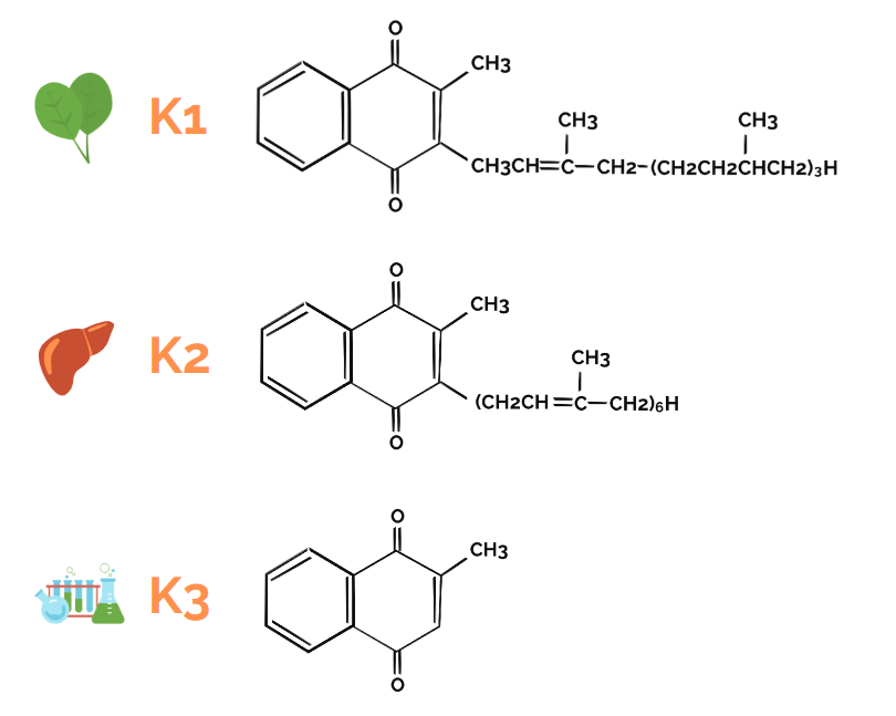Porodica vitamina K