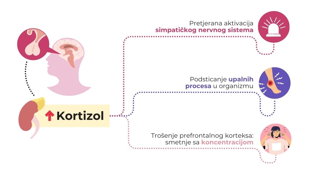 Dejstvo adverzivnih iskustava na organizam (vatramedicine.com)