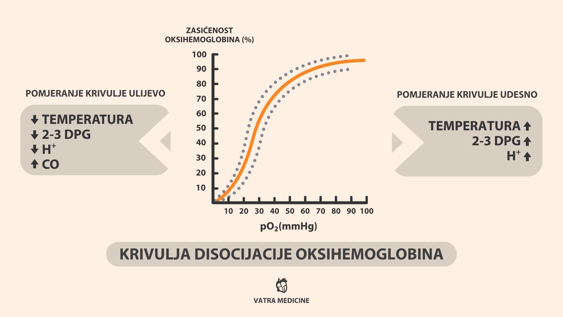 Krivulja disocijacije oksihemoglobina.
